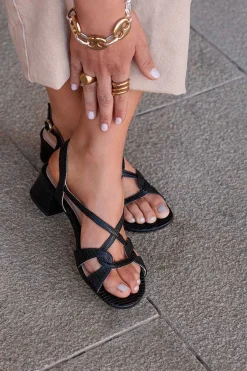 Mujer MICUIR Sandalias Tacón Midi-Ugga Negro 4Cm